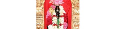 கணபதி விஸ்வநாதசாமி